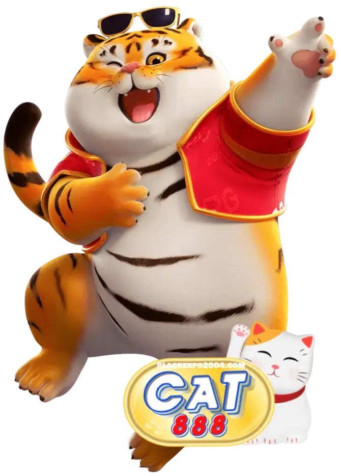cat888