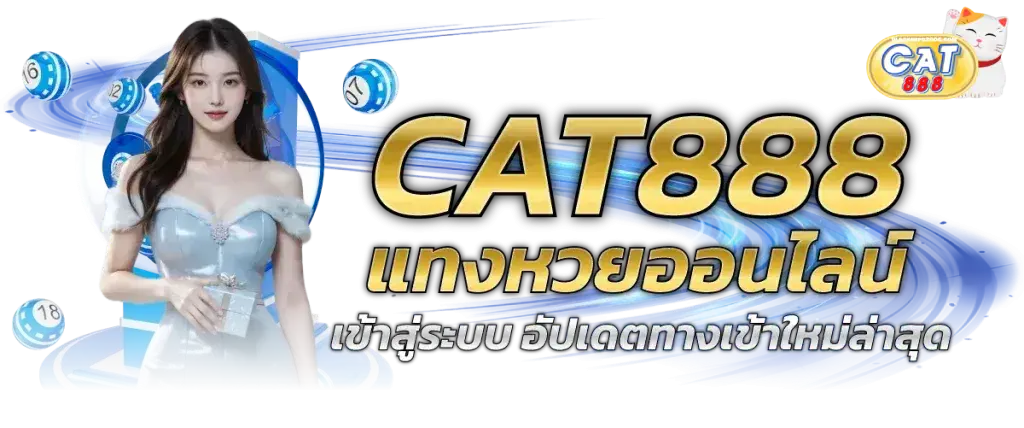 cat888